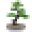 Asia Pacific Gardening Icon