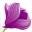 Magnolia Garden Center Icon