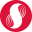 SupraOracles Icon