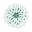 La Florela Icon