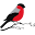 Bemaustin Icon