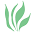 Austin Landscape and Design Icon