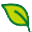 Flavor & Fettle Icon