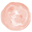 Joyja Icon