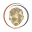 widneroms Icon