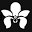 Wild Orchid Salon Icon
