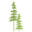 Green Lake Oral and Facial Surgery Icon