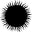 Plénitude Skincare Icon