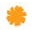 Marigold-Gateway To India Icon