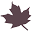 Amber Leaf Animal Hospital Icon