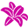 Glamlily Icon