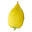 Got Etrog Icon