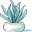 Seeko Succulents Icon