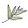 Bare Botanics Icon
