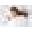 Moonrest Icon