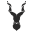 Markhor Wear Icon