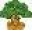 Natural Eye Care Icon