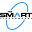 SMART Tire Co. Icon