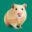 Whiskers Holistic Pet Care Icon