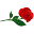 Red Rose Tea Icon