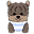 Woof Woof Puppies Icon