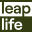 Leap Life Icon