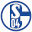 FC Schalke 04 Icon