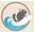 ChinSurfers Icon