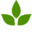 Olivastu Icon