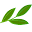 Good Health Naturally Icon