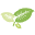 Elephant Ears Icon