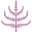 Spring & Mulberry Icon