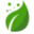 The Seed Fair Icon