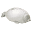 Chonky Shop Icon