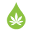 Cannasi Icon