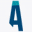 alarme-piscine.com Icon