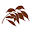 Evergreendirect UK Icon