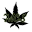 Montrealcannabis-seeds.ca Icon