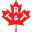 Rapid Test & Trace Icon