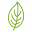 The Natural Nutritionist Icon