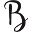 Beautypython.de Icon