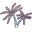 Paradisa.fr Icon
