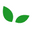 Anatae.fr Icon