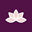 Chochette Icon