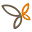 Webmarketpoint.it Icon