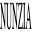 Nunziashop.it Icon