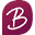 Briconeo ES Icon