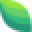 Vapo.es Icon