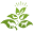 Organimal Icon