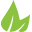 Dermavitality.com Icon
